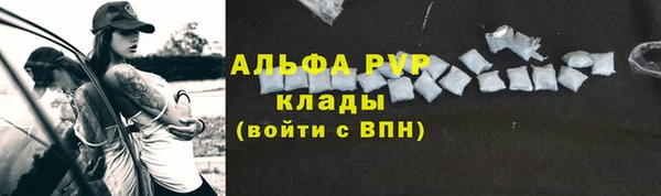 шишки Алзамай
