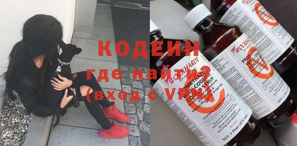 шишки Алзамай