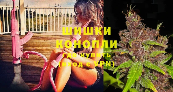 шишки Алзамай