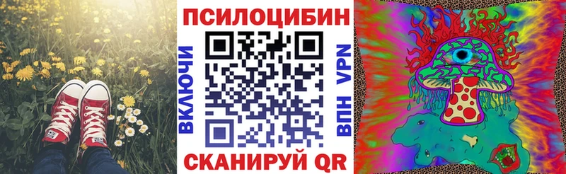 где купить наркотик  blacksprut маркетплейс  Псилоцибиновые грибы прущие грибы  Кызыл 