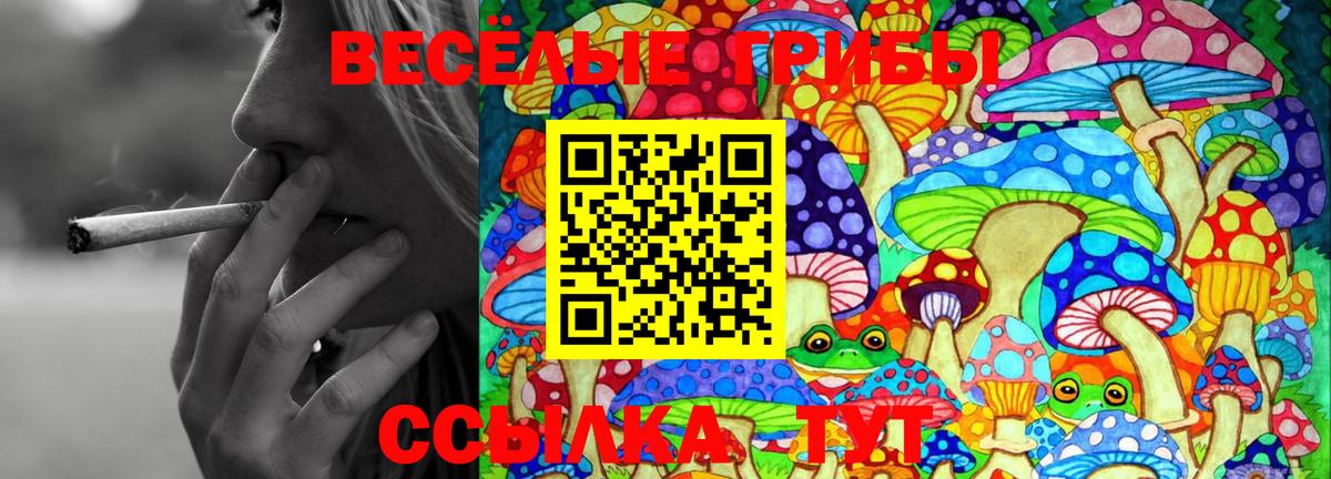 Галлюциногенные грибы Magic Shrooms Кызыл