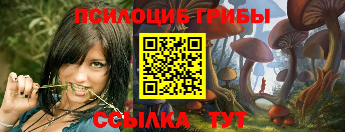 Кызыл  Псилоцибиновые грибы Psilocybe  Вход с VPN  Псилоцибиновые грибы Psilocybe 